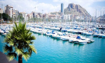 Alicante